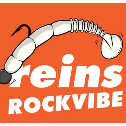 Reins Rockvibe Shad 3", Pochette de 12 Leurres