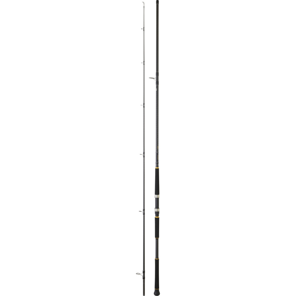 CANNE LANCER LEGALIS SHORE JIGGING