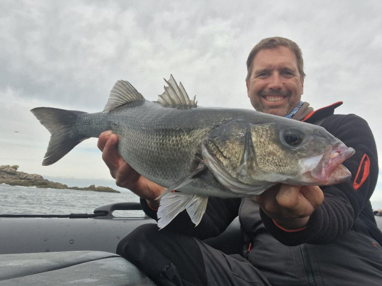 Pêche du bar : comment tirer son épingle du jeu par faible coefficient de marée ?