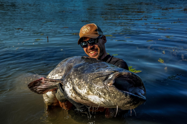 Le matériel idéal et les meilleurs leurres pour la pêche du silure au leurre