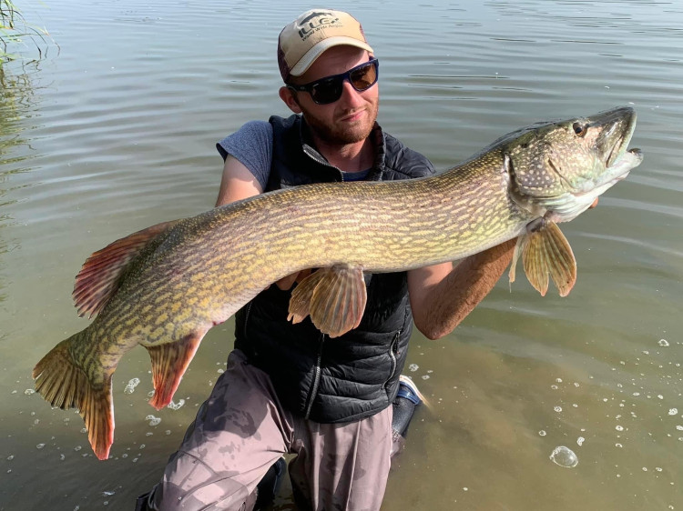 Tout savoir sur la pêche des gros brochets du bord au fil des saisons !