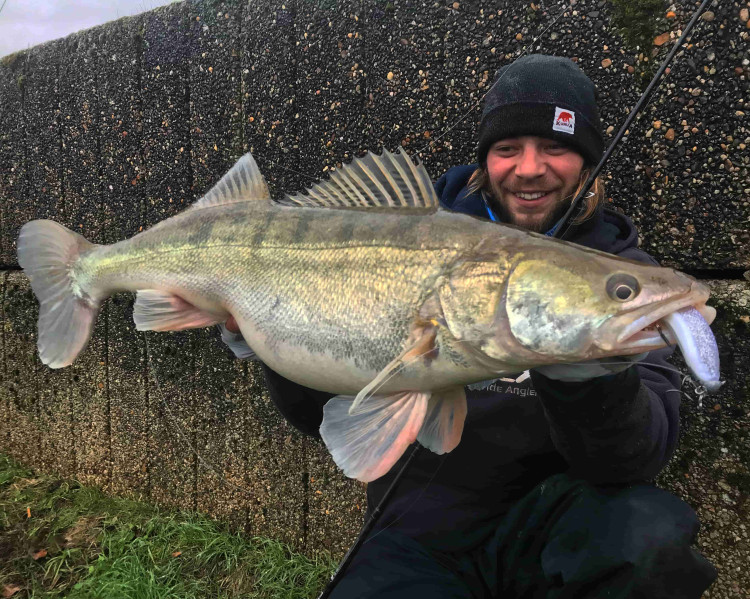 La pêche du sandre au leurre du bord en Seine pendant la crue
