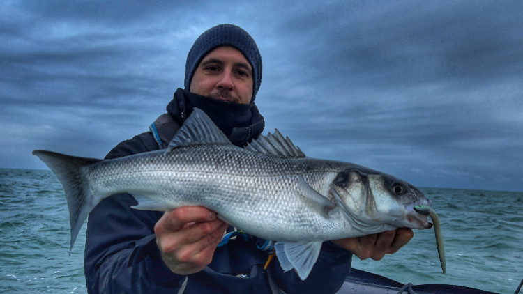 Pêche du bar : dernière sortie en mer de la saison ?