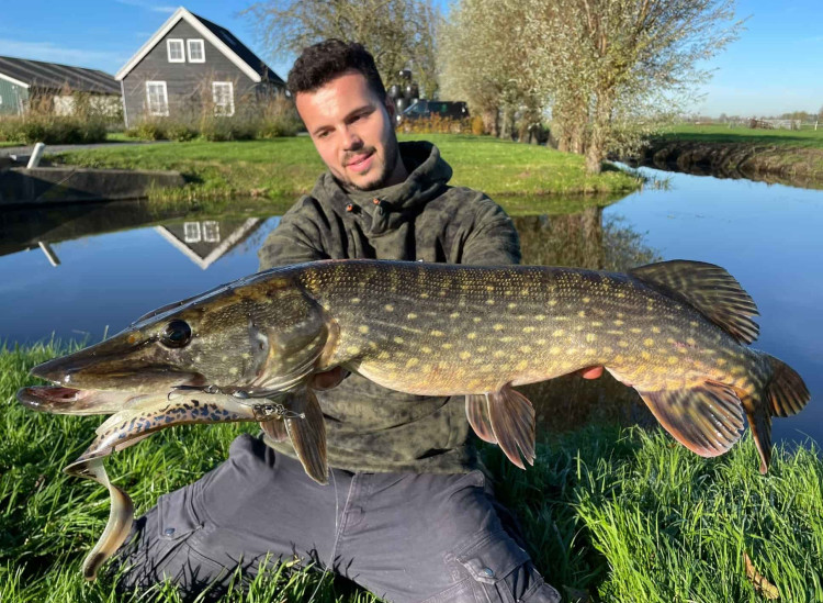 Pêche du brochet aux leurres : retour sur une session dans les polders hollandais !