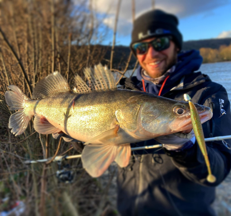 Quel matériel pour la pêche du sandre en Seine du bord pendant la crue ?