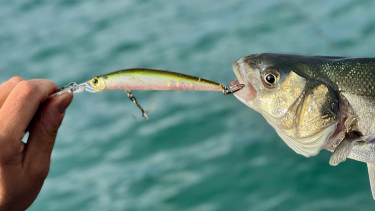 Comment éviter les accidents lors d’une sortie de pêche ?