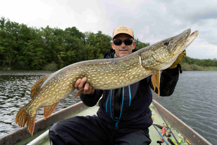 Le bon matériel pour la pêche du brochet aux jerkbaits