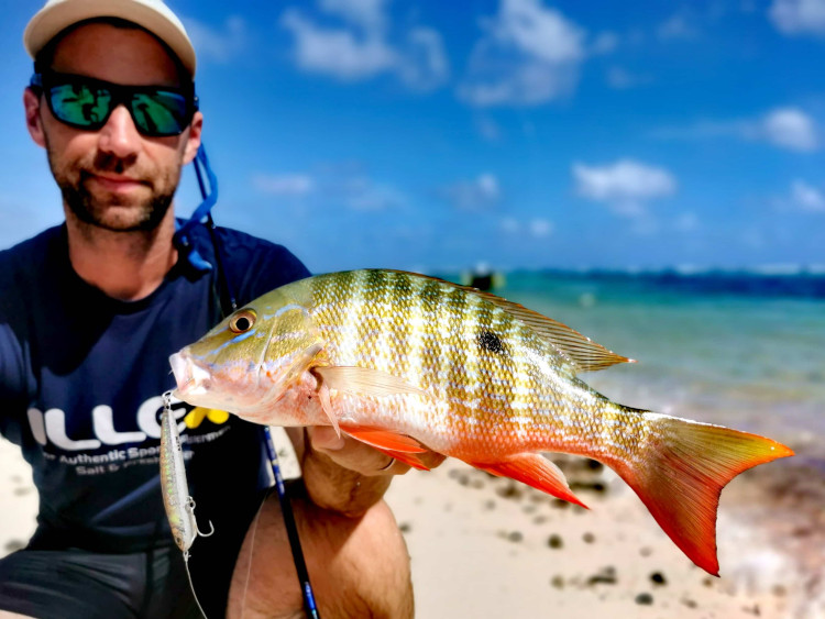 La Guadeloupe, une destination idéale pour la pêche exotique light !