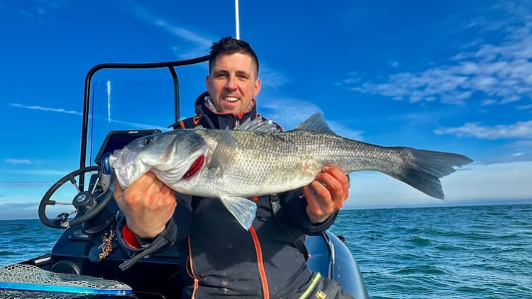 Pêche au bar : un début de saison réussi en Normandie !