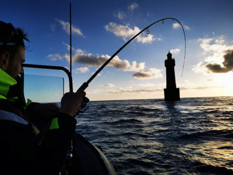 La thermocline, un paramètre à prendre en compte pour comprendre le comportement des poissons