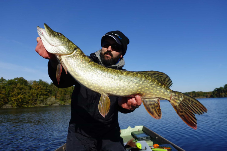 Comment choisir sa canne à pêche pour débuter la pêche du brochet au leurre ?
