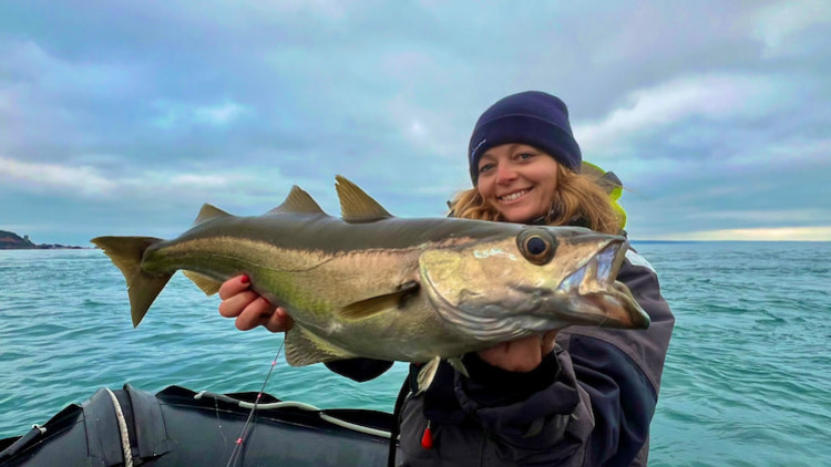 Quelles espèces cibler lors de vos sorties de pêche en mer l'hiver ?