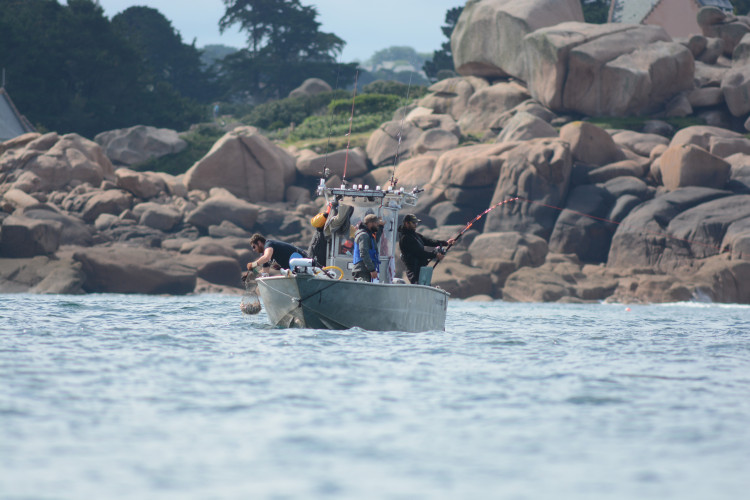 Pourquoi faire le choix d’un moulinet à tambour tournant pour la pêche du thon rouge ?