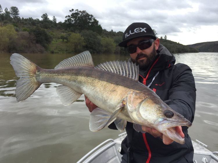 Pêche du sandre, l’importance de la présentation de votre leurre !