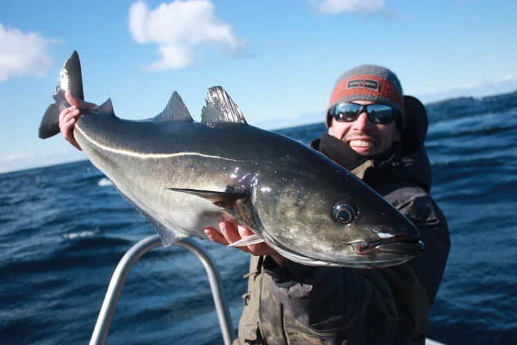 Le premier voyage de pêche exotique par excellence est bien au nord, vive la Norvège !